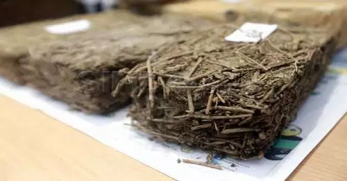 Dua PNS Pidie Aceh Kedapatan Kirim 15 Kg Ganja Lewat Kantor Pos