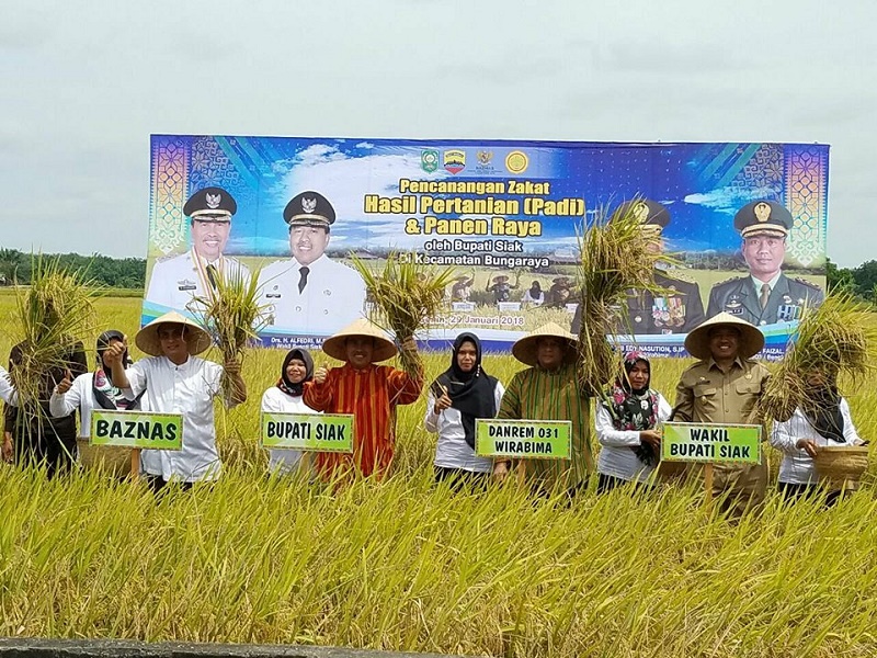 Siak Canangkan Zakat Pertanian, Syamsuar : Semoga Ini Jadi Contoh