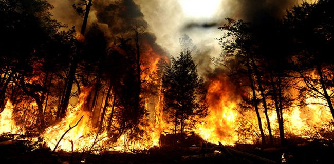 NGERI ! Hampir 2 Ribu Hektar Lahan di Riau Terbakar