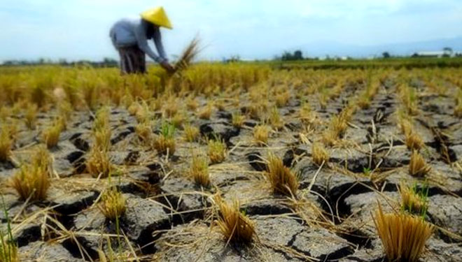Kemarau, Hampir Tiga Ribu Desa Kekeringan
