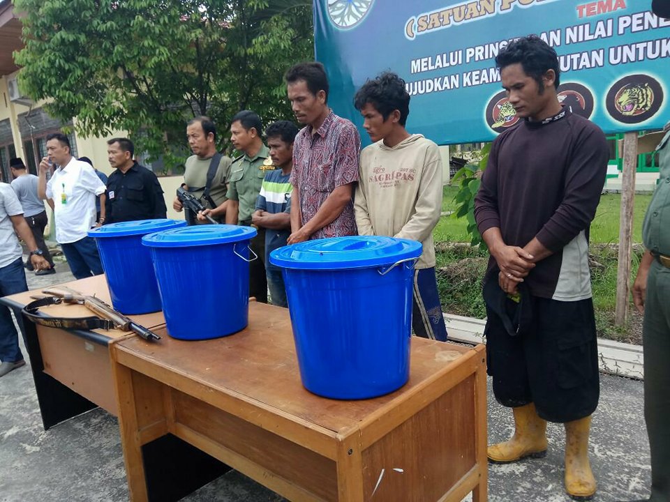 Empat Pria di Inhil Ditangkap Karena Bunuh dan Makan Beruang Madu