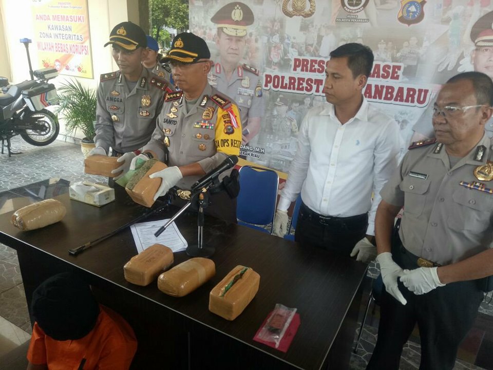Pengedar Ganja di Pekanbaru Ketangkap Saat Polisi di Pekanbaru Lakukan Penyelidikan Pelaku Jambret