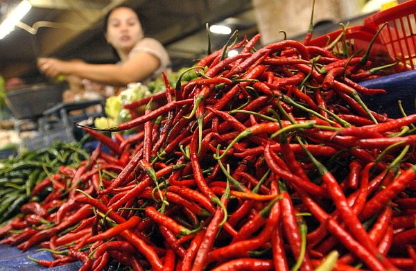 Musim Penghujan, Harga Cabai Di Pekanbaru Meroket