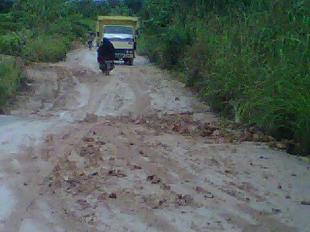 Masyarakat Desa RBS Minta Dilakukan Perbaikan Jalan