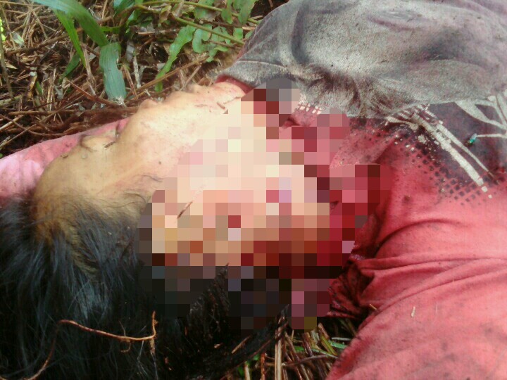 Ini Kronologis Serangan Raja Hutan Yang Tewaskan Seorang Wanita di Inhil