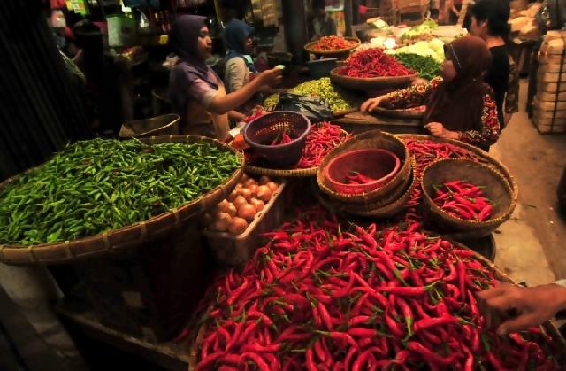 Harga Cabai Rp 100 Ribu per Kilogram