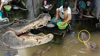 Geger! Wanita di Bontang Mencuci di Sungai Sambil Beri Makan dan Mandikan Buaya