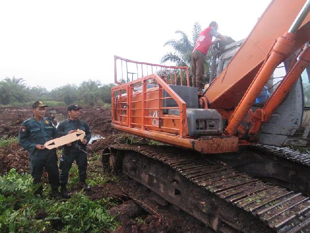 Diduga Beraktivitas di Kawasan Hutan Produksi Terbatas Bagan Sinembah