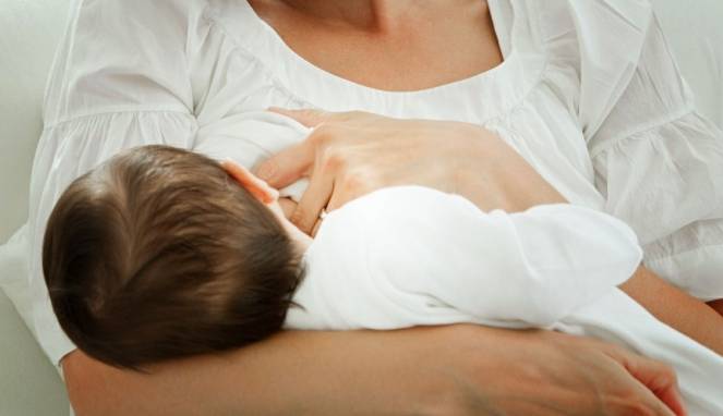 Cara Olah Daun Katuk untuk Obat Demam dan Pelancar ASI