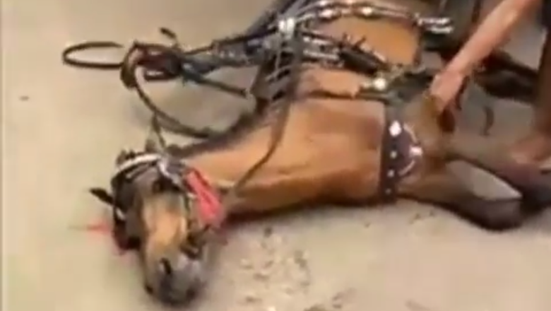 Kuda Kelelahan Tetap Dicambuk, JAAN: Jangan Anggap Sebagai Robot