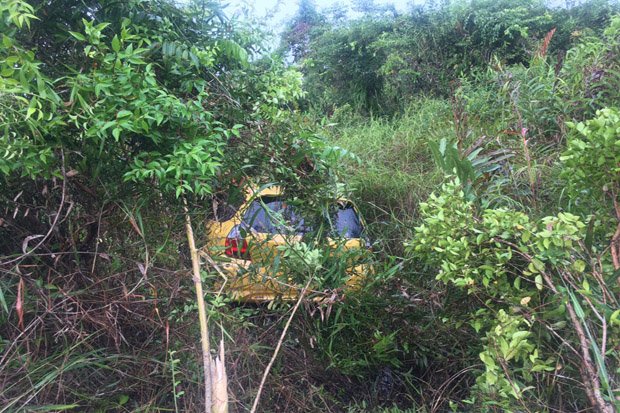 Tertabrak Monyet, Mobil Jazz Nyusruk ke Semak-semak