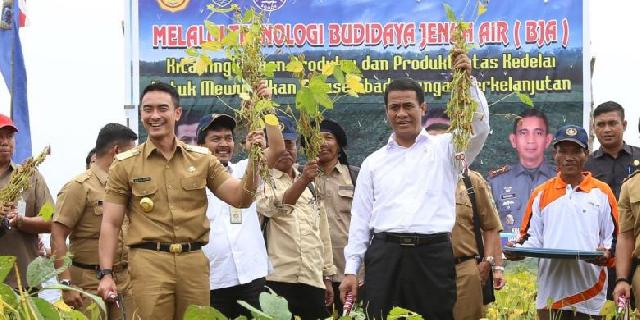 Target, Produksi Kedelai Nasional 4 Ton Per Hektar