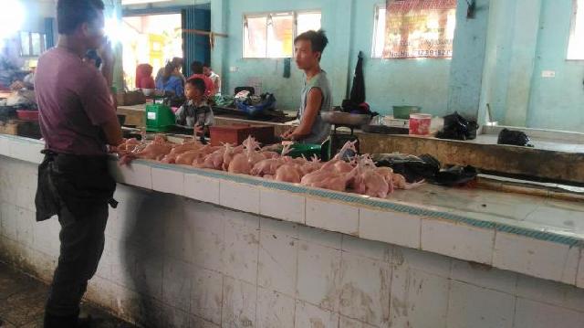 Masyarakat Resah Harga Ayam Potong Di Bengkalis Rp 50 Ribu perkilo