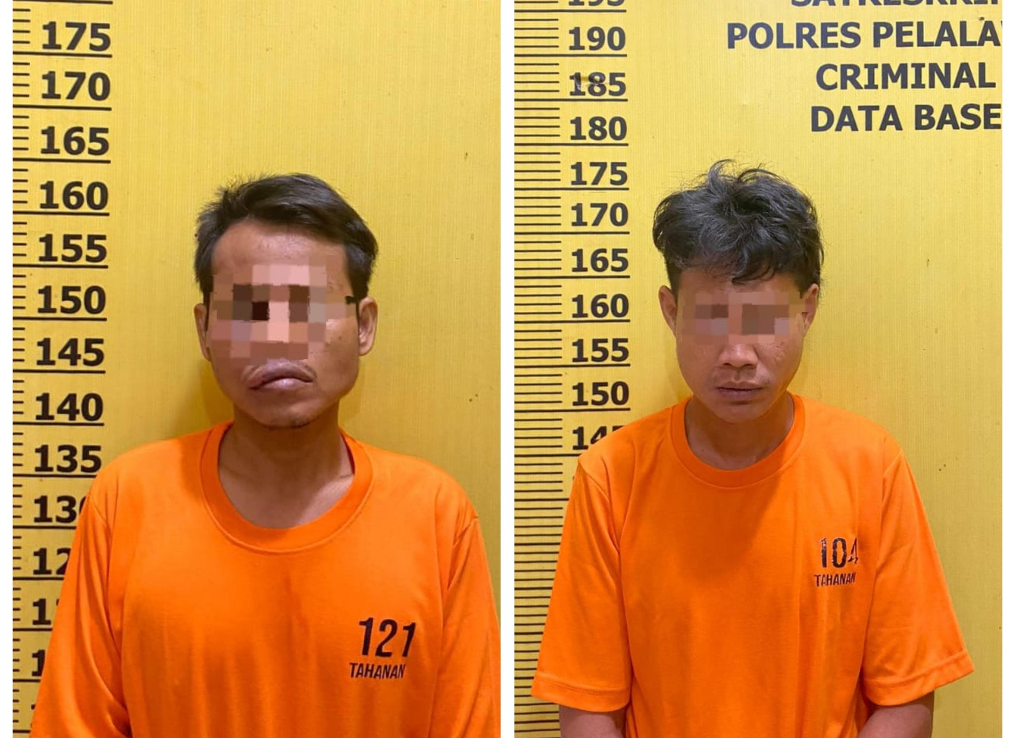 Dua Tersangka Pencurian di Rumah Warga Dibekuk Polres Pelalawan