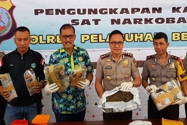 5 Pengedar Ganja 15 Kg Dibekuk, 1 Pelaku Ditembak