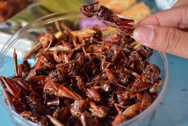 6 Makanan Ekstrem Gunung Kidul, Kamu Pernah Coba?