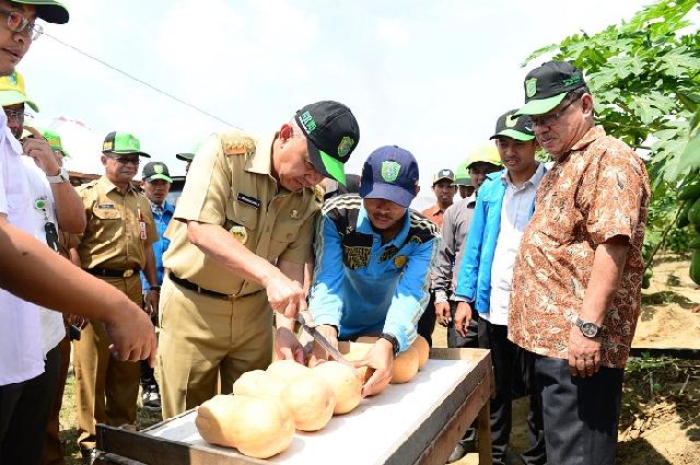 Gubri Tinjau Perkebunan UIR Seluas 54 Hektar di Pasir Putih