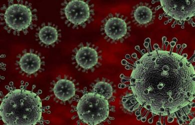 Belum Selesai dengan Virus Corona, Virus Baru Kembali Muncul di Brasil!