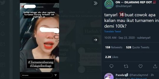 Bikin Heboh, Wanita Ini Gagas Turnamen Burung Terbaik Setiap Minggu