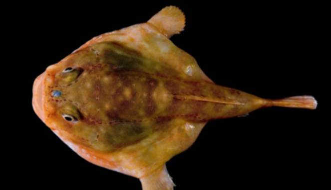 Aneh, Pria Ini Pilih Benda Tak Biasa untuk Penyaluran Hasrat