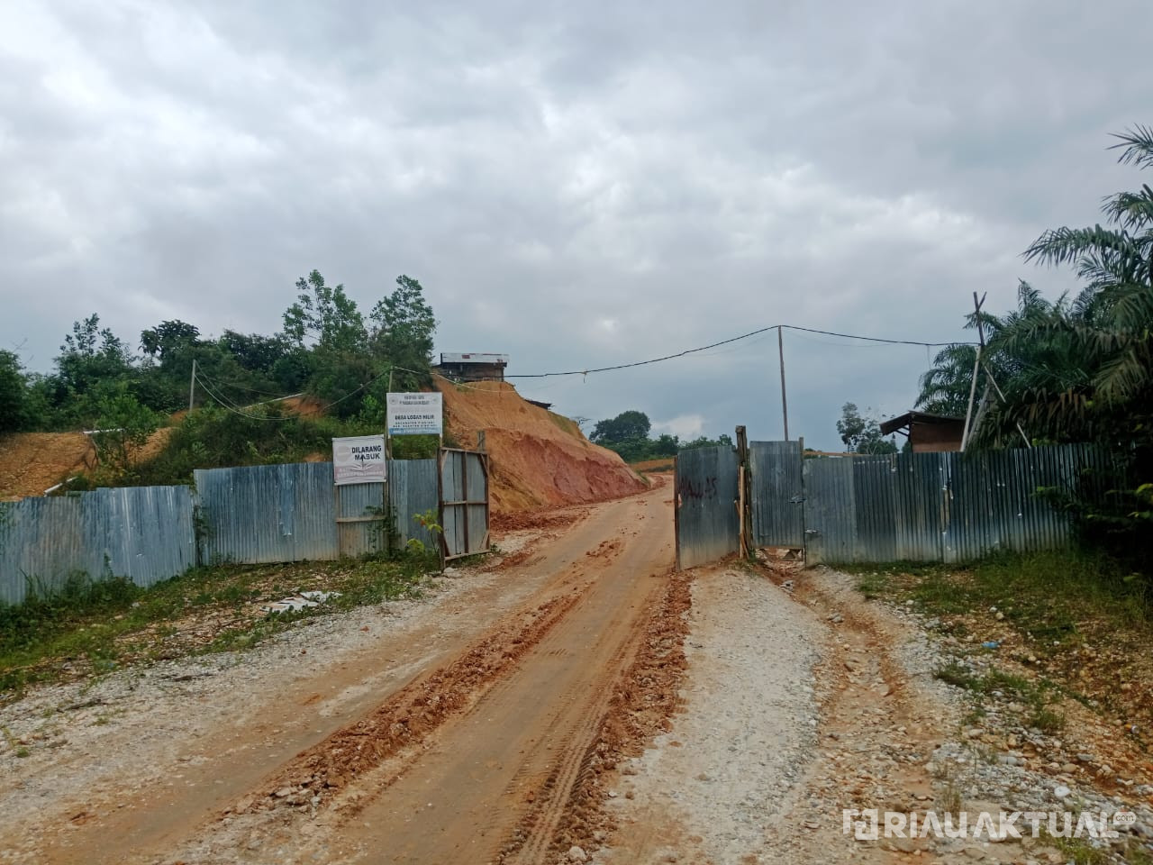 DLH Kuansing Khawatirkan Dampak PKS PT. PCS di Dekat Sekolah dan Permukiman