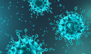 Kasus Covid-19 di Riau Kembali Bertambah 202, Sembuh 199 dan Meninggal 6 Orang