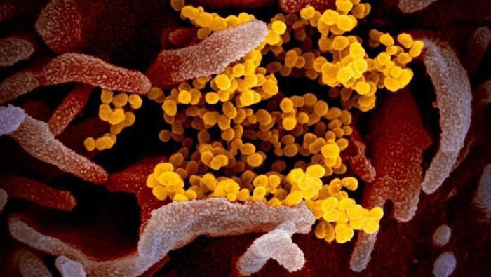 India Laporkan Temuan Varian Virus COVID-19 Mutan Ganda