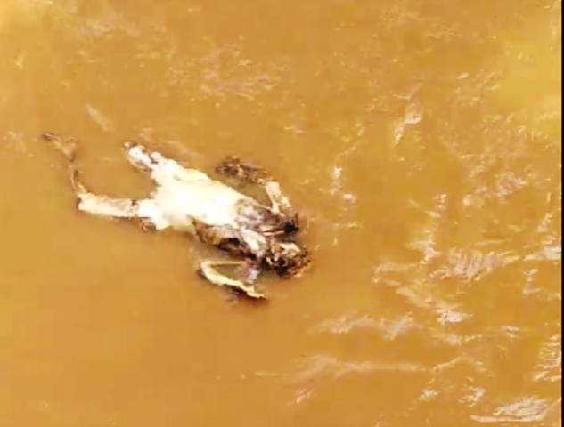 TPU Cikutra Longsor, Sosok Pocong Hanyut di Sungai