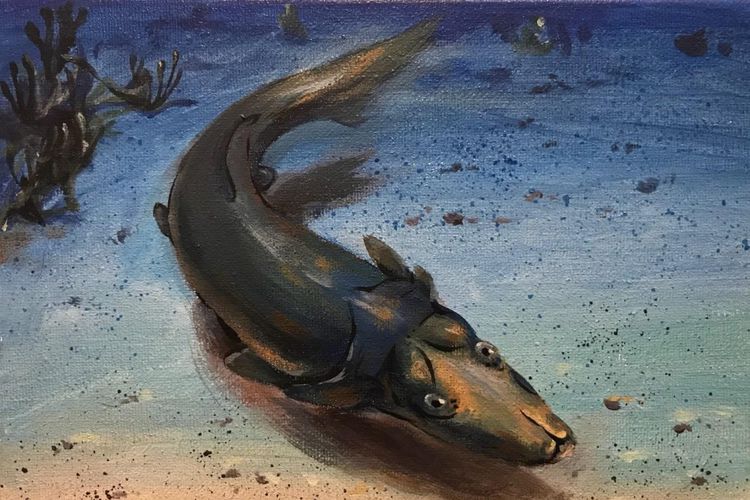 400 Tahun Lalu, Hidup Ikan Dengan Moncong Panjang Mirip Platipus