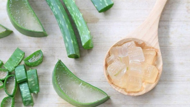 Cara Hilangkan Segala Macam Masalah Gatal di Kulit