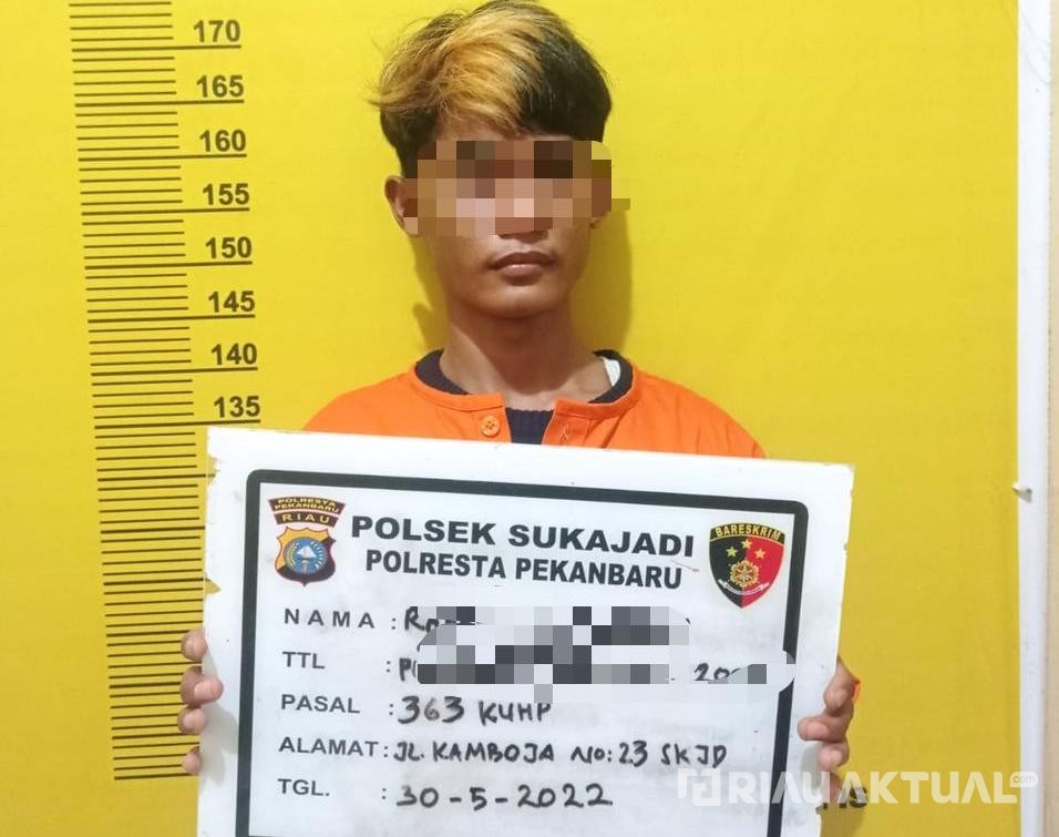 Gasak Motor dan Handphone, Pencuri Modus Bobol Rumah Dibui