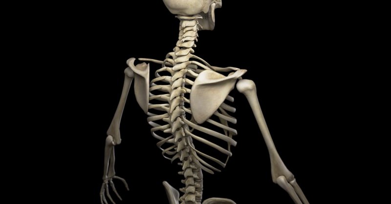 Alquran dan Sains Jelaskan Tulang dan Kemampuan Memiliki Anak