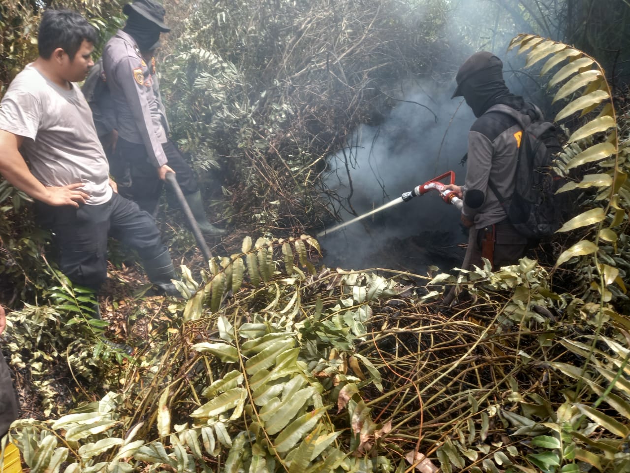 Polres Rohil Masih Cari Penyebab Karhutla di Pujud dan Kubu