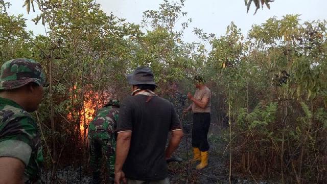 Tim Gabungan Berhasil Padamkan Kebakaran Lahan Pemkab Bengkalis