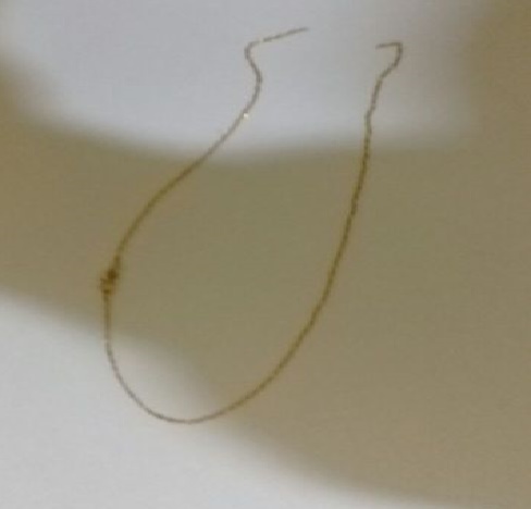 Tim Pengaman Pacu Jalur, Kembali Amankan Pencopet, Kali ini Asal Medan