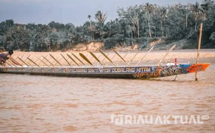 Satu-satunya Jalur dari Sumbar, Telabang Sati Masih Bertahan di Pacu Jalur Kuansing 2025