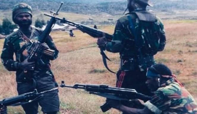 Korban Sandera di Papua Mulai Kehabisan Logistik