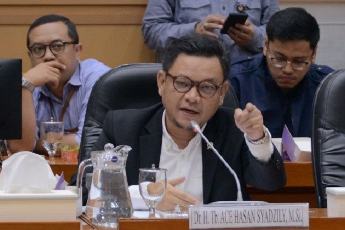 Komisi VIII Sentil Risma Paksa Tunarungu Bicara di Hari Disabilitas: Ironis!