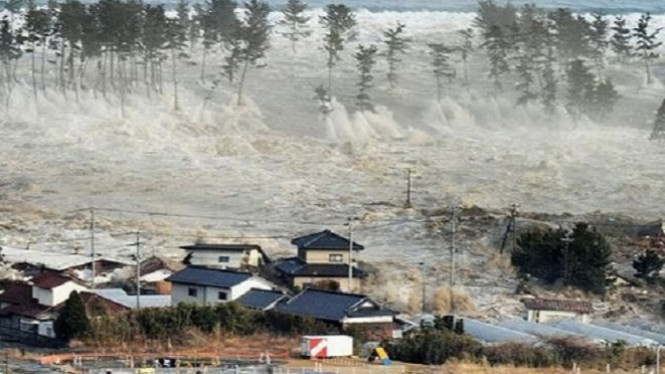 Lima Cara Agar Selamat dari Tsunami