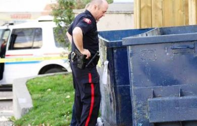 Wow! Upah 7 Pekerjaan Unik di Dunia Ini Lebih Besar Daripada Gaji Kamu Para Karyawan