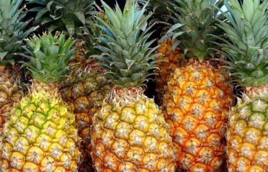 Berikut 7 Fakta Buah Nanas yang Ternyata Bisa Menjadi Obat Batuk Ampuh