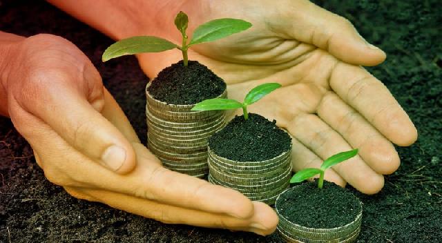 Mau Buka Usaha? Pilihan Ini Mungkin Cocok untuk Anda