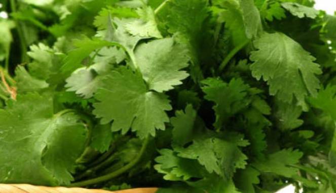 Satu Bahan Alami Ini Mampu Bersihkan Pankreas, Hati dan Ginjal