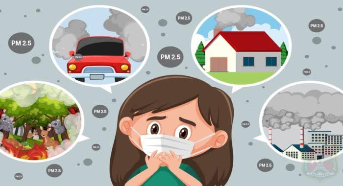 Riset: Polusi Udara Bisa Picu Mutasi Kanker Paru pada Non-Perokok