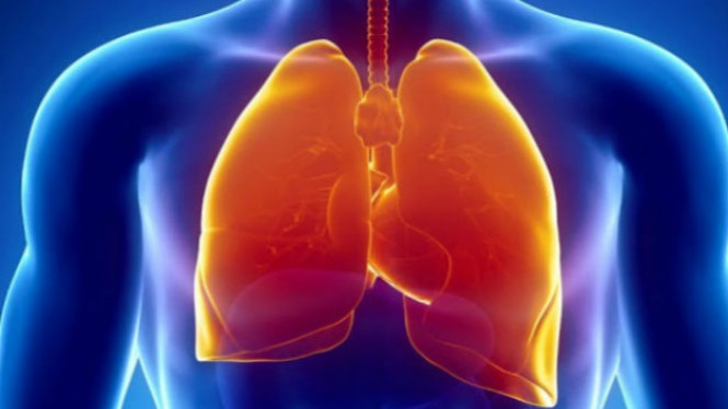 Tambahkan Minyak Ini ke dalam Air Minum, Paru-paru Anda Sehat