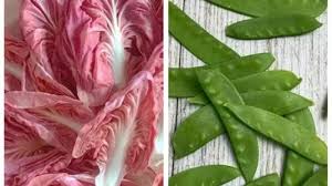 Sayuran Termahal di Dunia, Ada yang Rp15 Juta per Potong