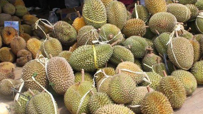Walikota Sambut Baik Rencana Pekanbaru Dijadikan Sentra Produksi Durian