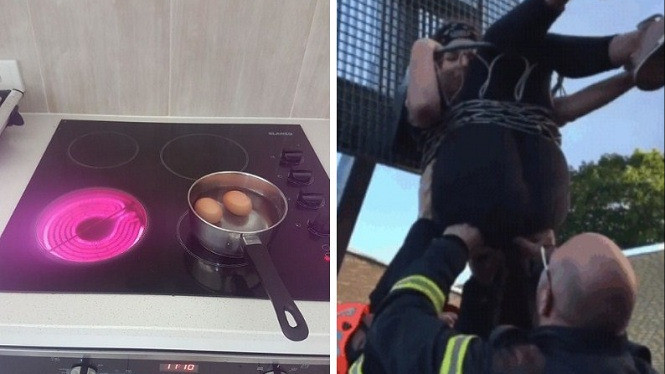 10 Foto Konyol Ketika Manusia Tidak Memakai Otaknya