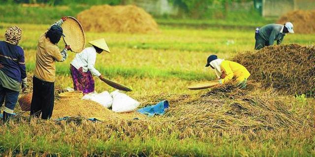 4 Pekerjaan ini dipandang sebelah mata di RI dihargai di luar negeri