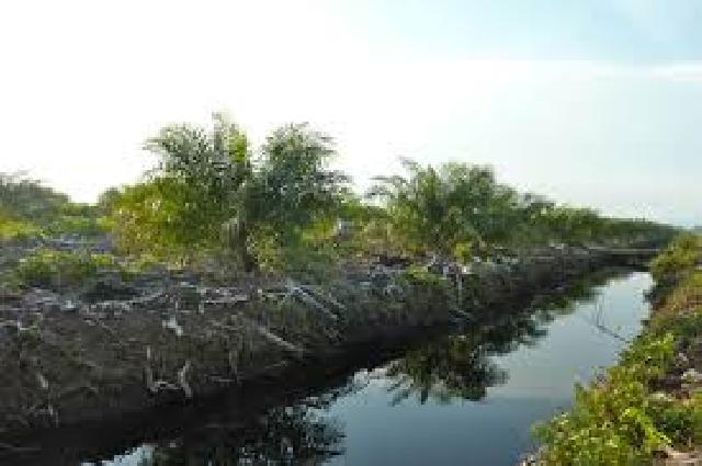 Warga Desa Taraibangun Tuding PT PSG Caplok Lahan Pemukiman